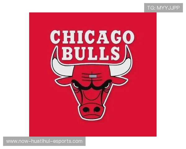 公牛队逐步崭露头角,迎接未来,公牛队是啥 公牛队逐步崭露头角,迎接未来,公牛队是啥