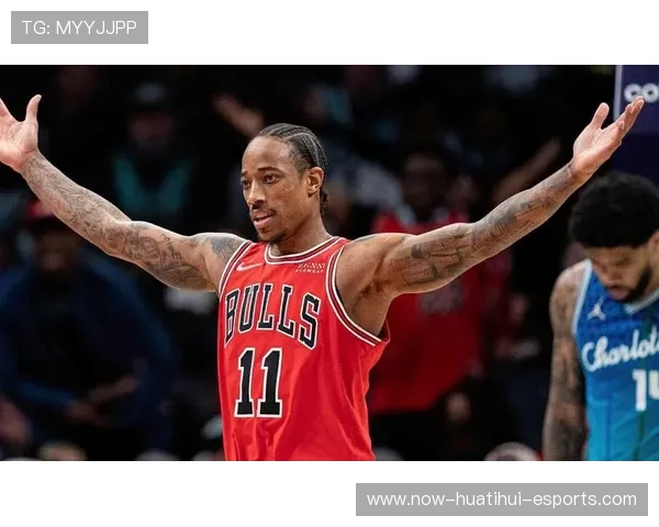 公牛队逐步崭露头角，迎接未来，公牛队是啥